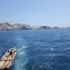 Meet your Posher, Allen